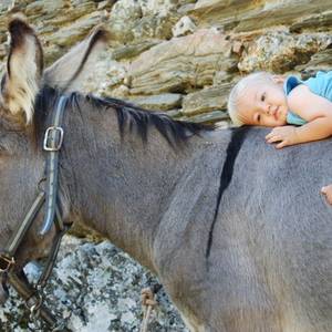 Photo de gite La Terrasse