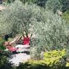 Salon de jardin -  Gîte La Fontaine (Auvergne-Rhône-Alpes, Drôme)