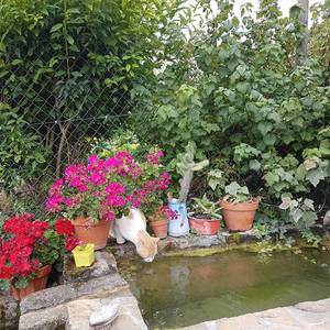 Photo de Gîte de Chamorin