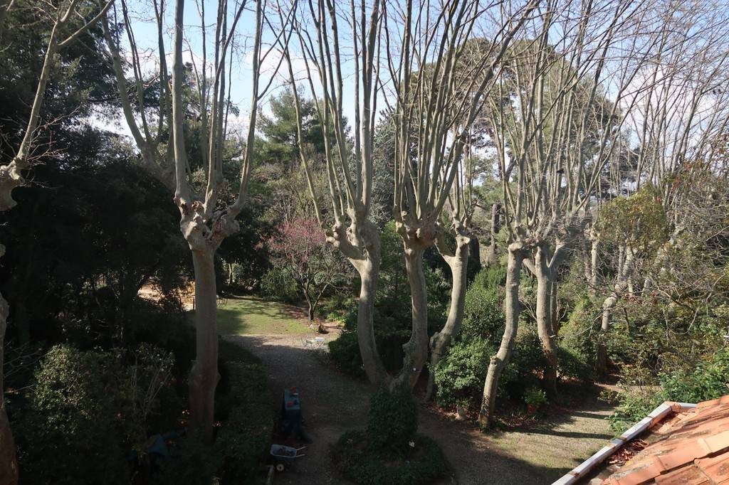 La vue sur le parc à partir du gite - Tourist accommodation Occitanie Aude Gîte de l'arbre perché