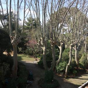 Photo of Gîte de l'arbre perché