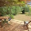 la terrasse en été -  Gîte Les Fiolles (Provence-Alpes-Côte d’Azur, Bouches-du-Rhône)