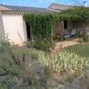 le jardin et la terrasse -  Gîte Les Fiolles (Provence-Alpes-Côte d’Azur, Bouches-du-Rhône)