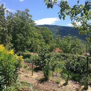 Photo de La Verrière