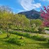 Le jardin devant le gîte au printemps -   Gîte Sainte - Euphémie (Auvergne-Rhône-Alpes, Savoie)
