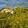 Jardin et gîte -   Gîte Sainte - Euphémie (Auvergne-Rhône-Alpes, Savoie)