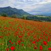 Contrastes.... -   Gîte Sainte - Euphémie (Auvergne-Rhône-Alpes, Savoie)