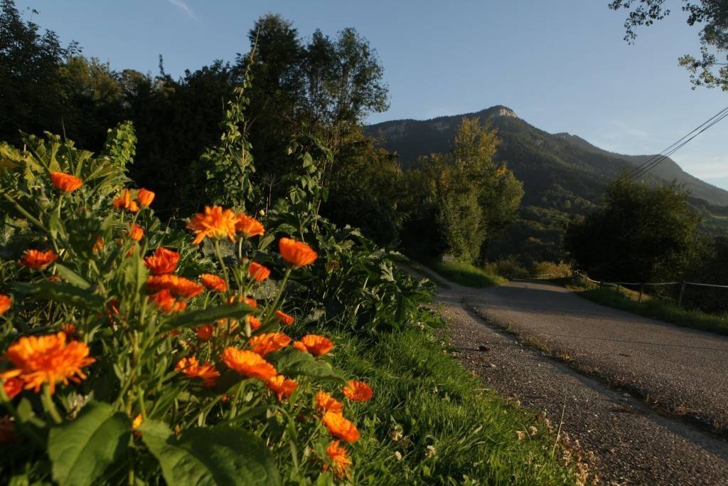 Vue depuis la maison et les chambres - Hébergement touristique Auvergne-Rhône-Alpes Savoie Gîte Sainte - Euphémie