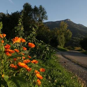Photo de Gîte Sainte - Euphémie