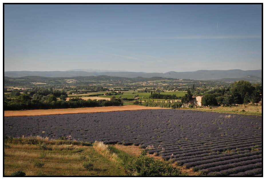 Vue sur le Ventoux 