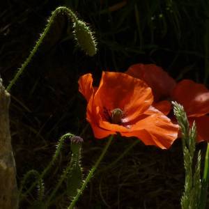 Photo of The Terre Compagne holiday cottage for 2 to 5 people