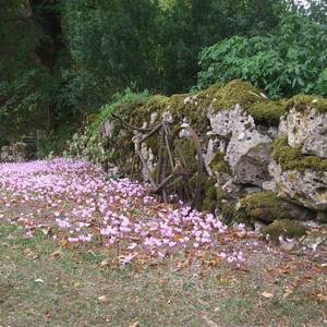 Photo de Ferme de montagnac