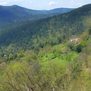 Photo de Gite de liou