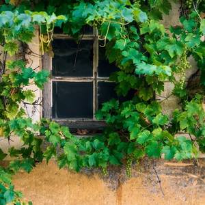 Photo de Bienvenue chez Mémé Chambre de Lucette