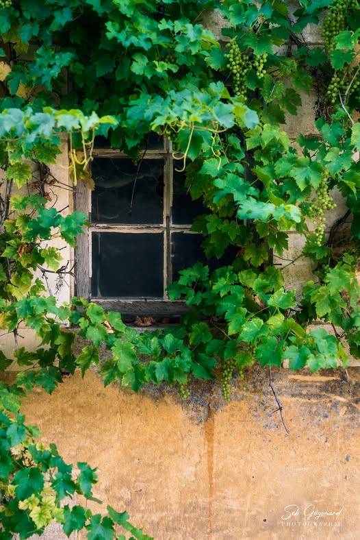  Hébergement touristique Bourgogne-Franche-Comté Yonne Bienvenue chez Mémé chambre de Dédé