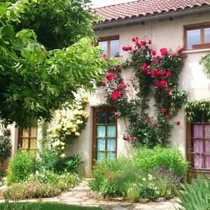 Photo de Chambre autonome