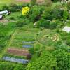 le jardin -  Relay Self-contained rooms (Occitanie, Lot)