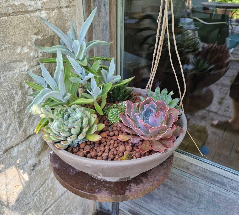  Tourist accommodation Nouvelle-Aquitaine Charente-Maritime Le Relais