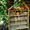 l'hôtel à insectes du jardin -  Relais Le Galabertès (Occitanie, Lozère)
