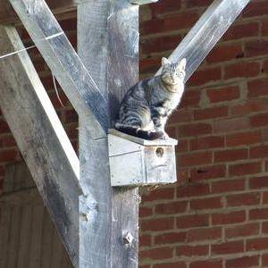 Photo de quelque part sur la terre