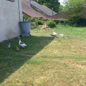 Photo de quelque part sur la terre