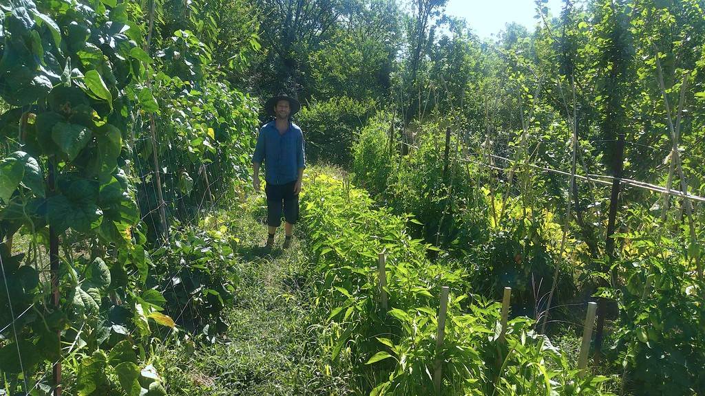 Maraichage avec Florent