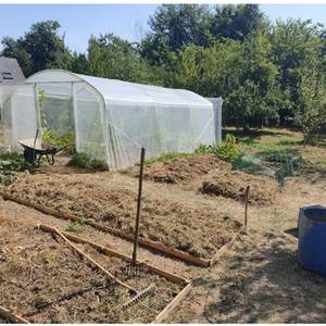 Photo de Ophélie Ratti