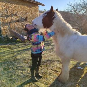 Photo de Accueil social d'enfants et de jeunes à la journée ou demie-journée
