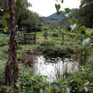 Photo de Accueil social d'enfants et de jeunes à la journée ou demi-journée