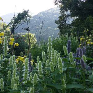 Photo de Visite guidée et dégustation des produits de la ferme