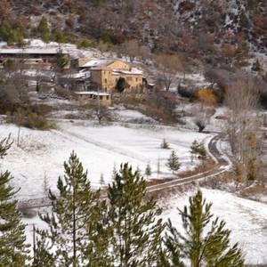 Photo de La Consoude