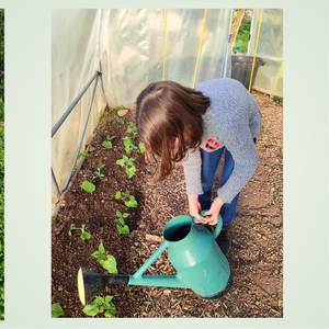 Photo de 🌱 Accueil social au cœur d’une micro-ferme agroécologique