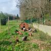 Une partie du parcours de nos poules et oies -   🌱 Accueil social au cœur d’une micro-ferme agroécologique (Auvergne-Rhône-Alpes, Haute-Savoie)