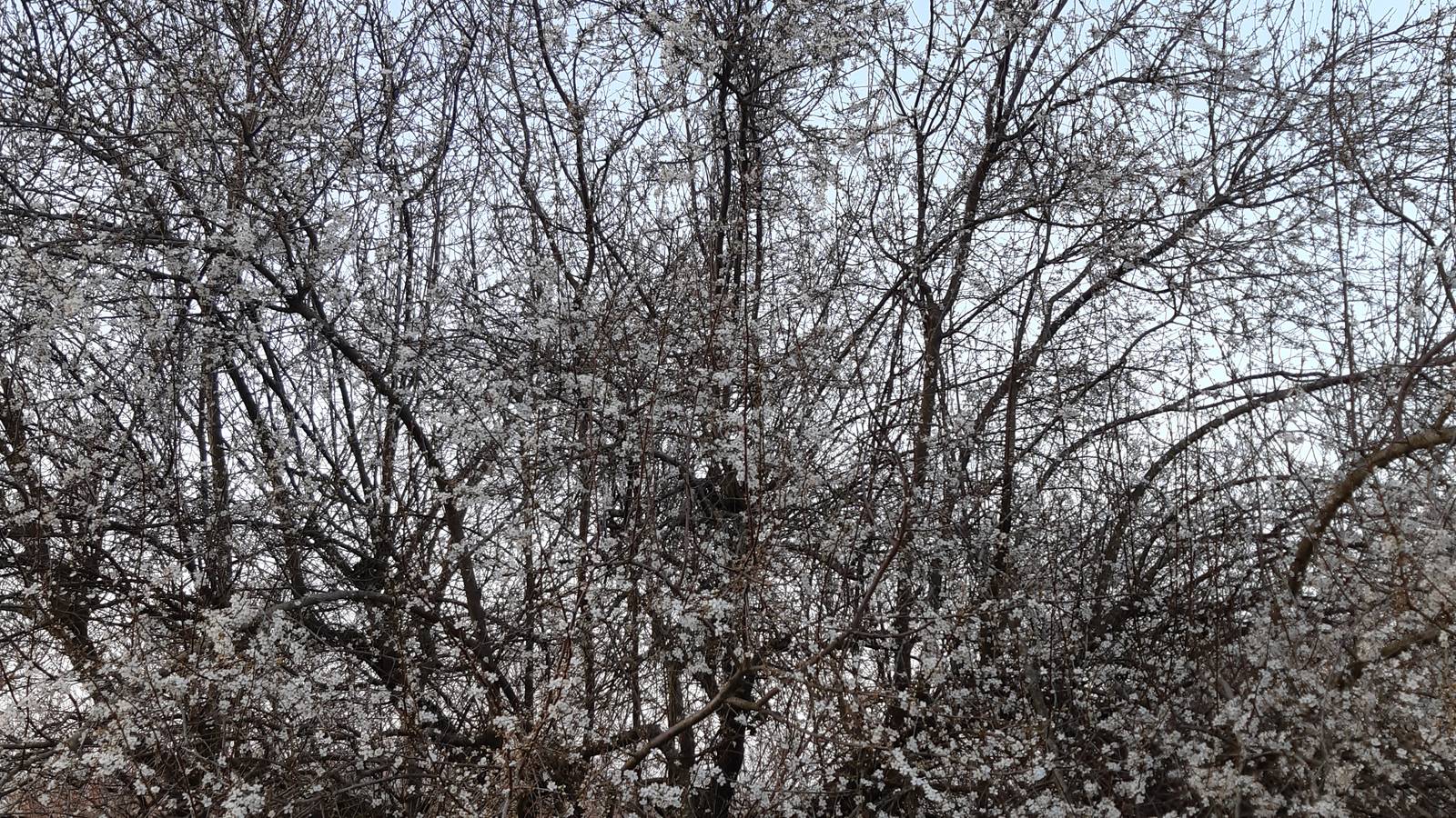  Activité Nouvelle-Aquitaine Charente-Maritime accueil social