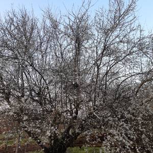 Photo de accueil social