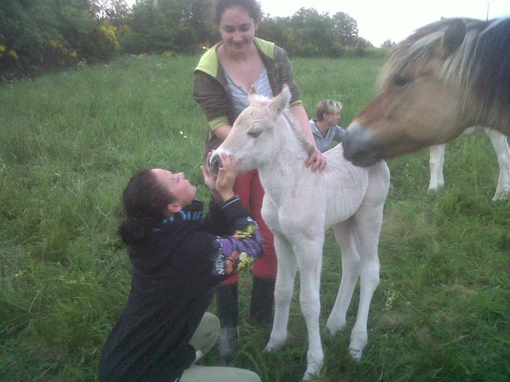 approche de l'élevage