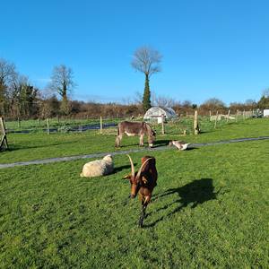Photo de Ferme animation La (Parenthèse