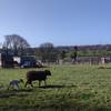  Accueil social Ferme animation La (Parenthèse (Normandie, Manche)