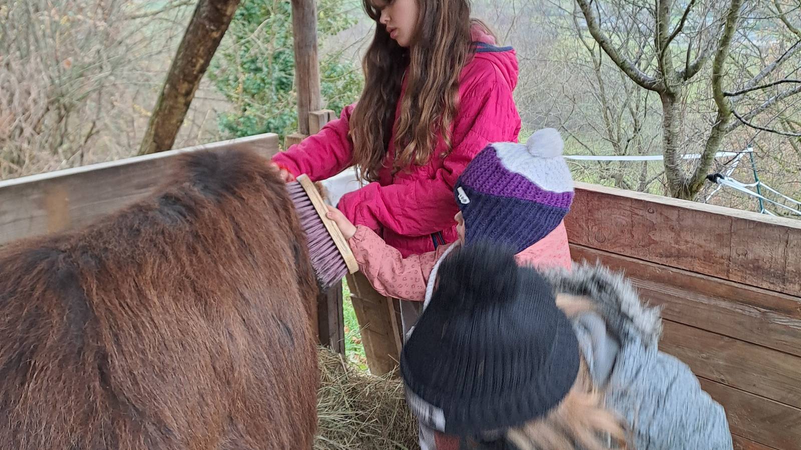  Activité Occitanie Hautes-Pyrénées Accueil à la Ferme du CASTEROU