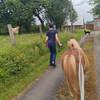  Accueil social Anim' au vert - éduc à travers (Bretagne, Ille-et-Vilaine)