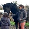  Accueil social Anim' au vert - éduc à travers (Bretagne, Ille-et-Vilaine)