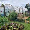 la serre au centre du potager -  Accueil social Anim' au vert - éduc à travers (Bretagne, Ille-et-Vilaine)