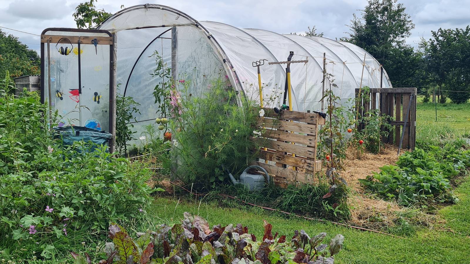 la serre au centre du potager - Activité Bretagne Ille-et-Vilaine Anim' au vert - éduc à travers