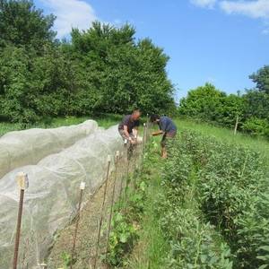 Photo de Bol d'air et mains dans la terre.