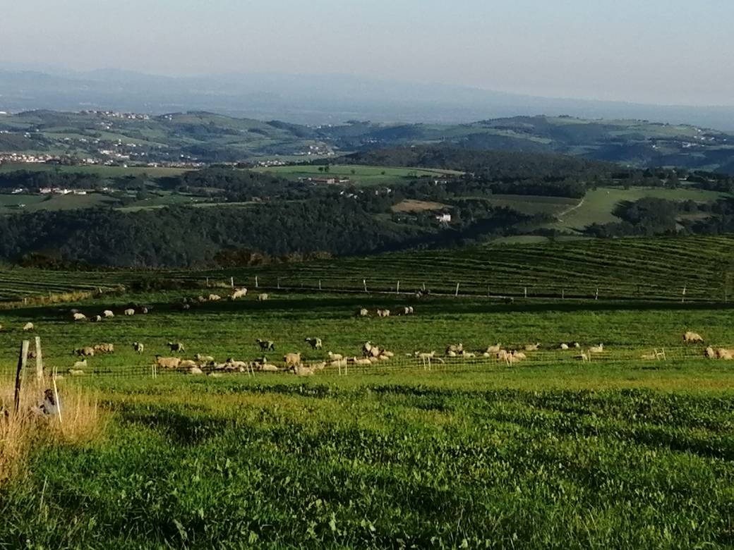 calme et sérénité - Activity Auvergne-Rhône-Alpes Loire Accueil social au Pré  Charmant