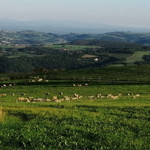 Photo of Accueil social au Pré  Charmant