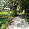 Balade sous les arbres -   Accueil social de ressourcement thérapeutique et pédagogique (Occitanie, Hérault)