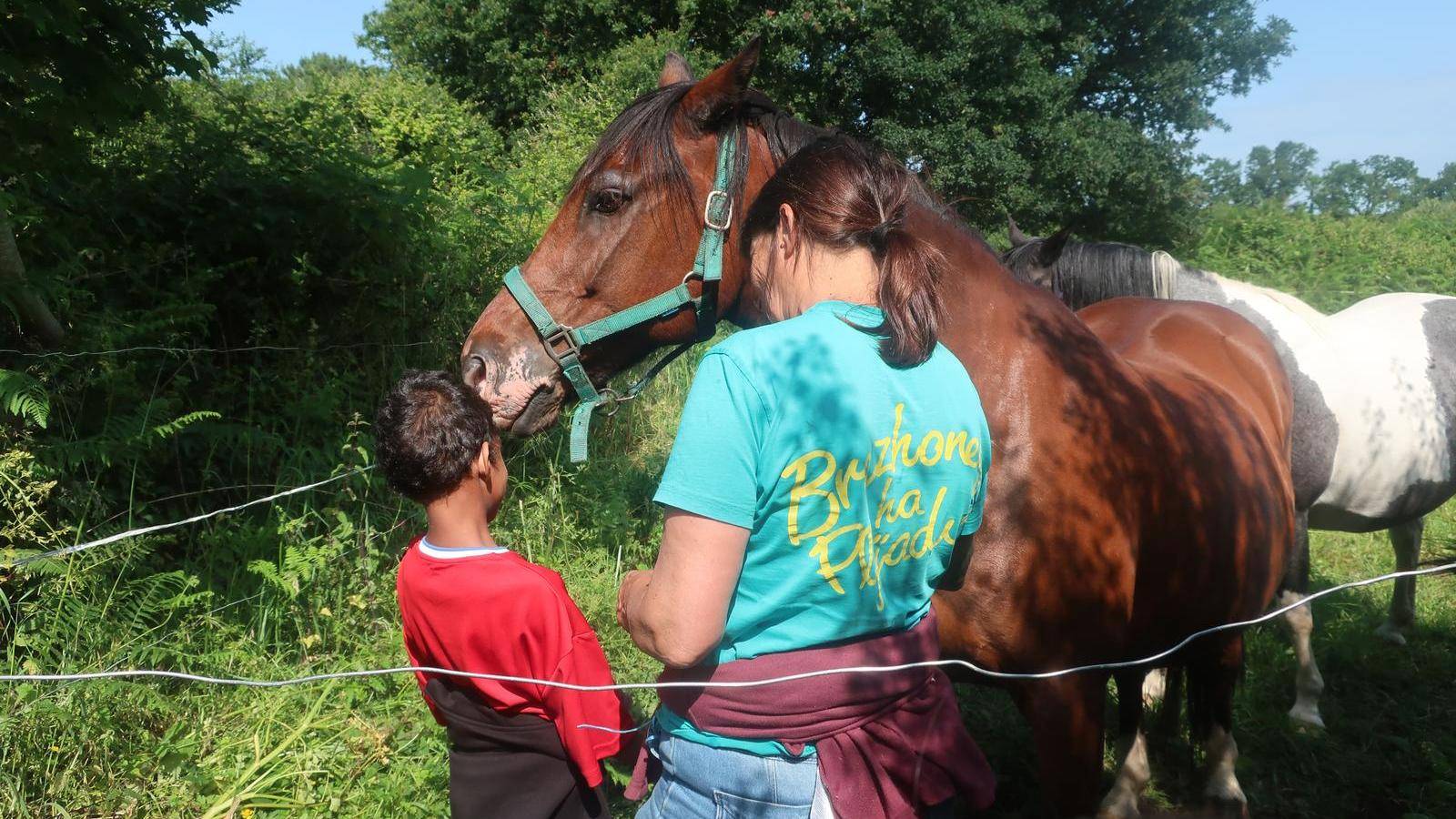  Activity Bretagne Finistère Penfond garden
