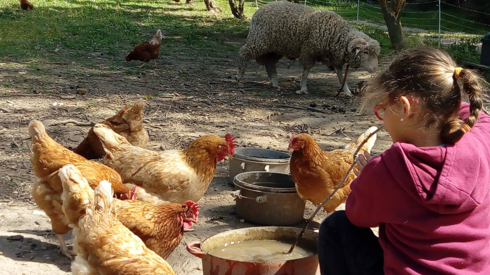 Accueil social Provence-Alpes-Côte d’Azur Bouches-du-Rhône Accueil social