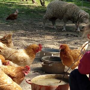 Photo de Accueil social